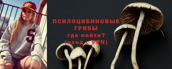 МДПВ Бородино