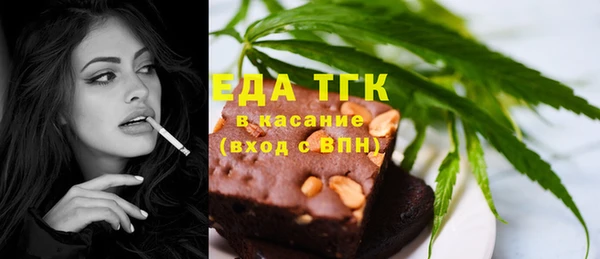 МДПВ Бородино