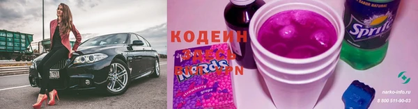 МДПВ Бородино