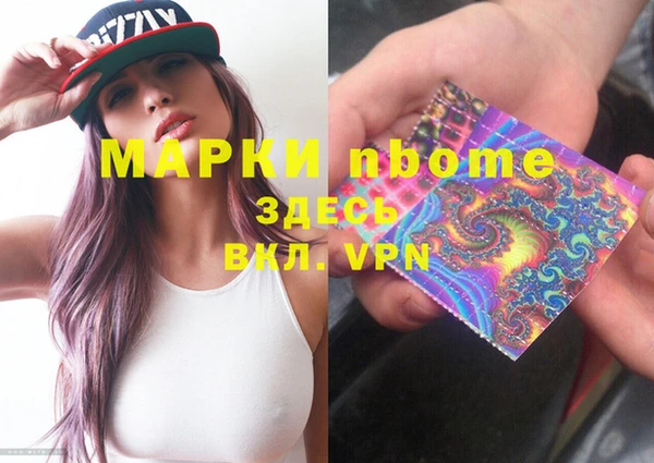 МДПВ Бородино