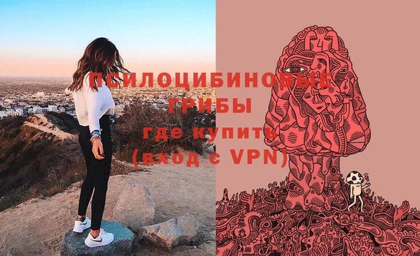 мет Павлово