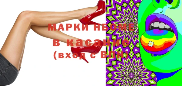 МДПВ Бородино