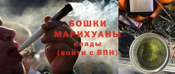 МДПВ Бородино