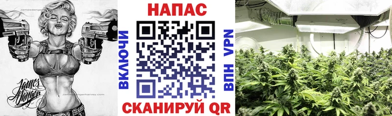 Марихуана AK-47 Невель